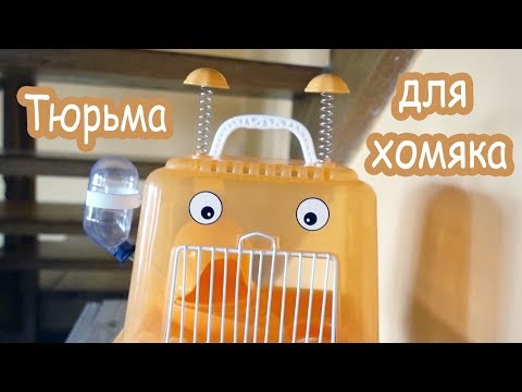 Видео: Тюрьма для хомяка. Лаки переезжает к Лучику.