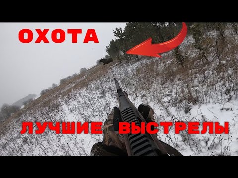 Видео: ТОЛЬКО ВЫСТРЕЛЫ!!!