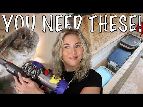 Видео: Товары, которые облегчают жизнь с кроликом!