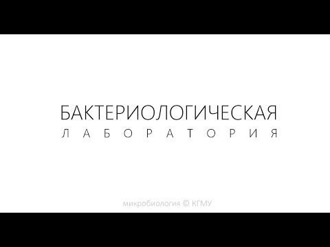 Видео: Бактериологическая лаборатория