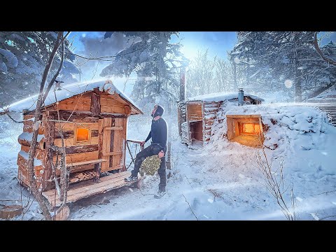 Видео: ПОСТРОИЛ ЗЕМЛЯНКУ С БАНЕЙ - ЛУЧШИЙ ДОМ ПОД ЗЕМЛЕЙ | Парюсь в ЗИМНЕМ ЛЕСУ