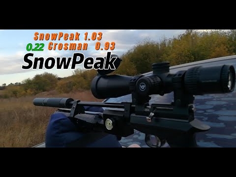 Видео: РСР тест пуль Crosman и SnowPeak 0.22