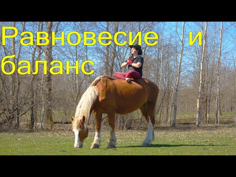 Видео: Баланс и равновесие тела всадника в верховой езде.