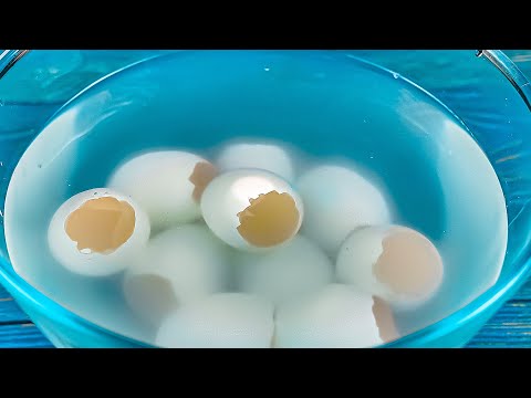 Видео: Жизнь научила! Советы и хитрости умных женщин