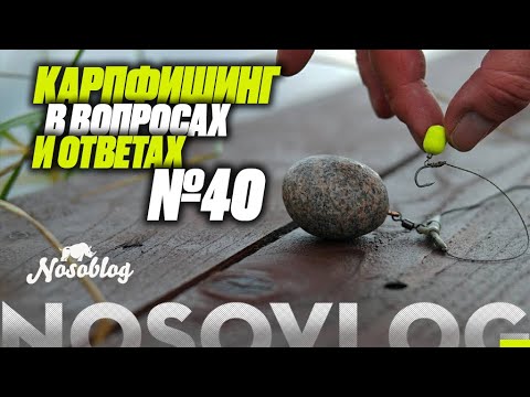 Видео: Карпфишинг в вопросах и ответах #40, Артём Колесников