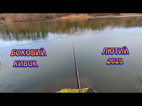 Видео: ЖОР ПЛОТВИ на БОКОВИЙ КИВОК в ЛЮТОМУ