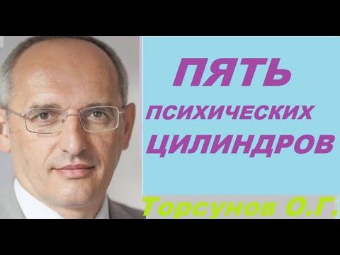 Видео: 5 психических цилиндров. Торсунов О. Г.