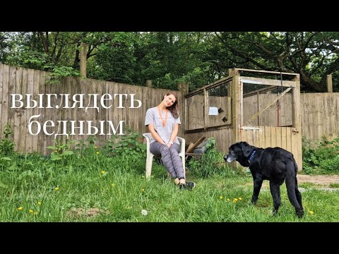 Видео: Эго против безусловной любви. Выбираем аутентичность. Истории собак из приюта.