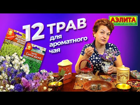 Видео: АРОМАТНЫЕ ТРАВЫ ДЛЯ ЧАЯ! Обзор семян трав от Агрофирмы Аэлита