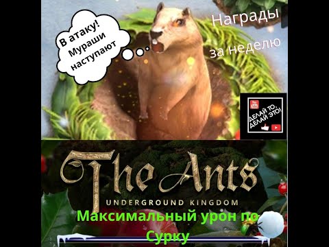 Видео: Рекорд по урону Сурка Боевые награды по итогам недели The Ants Underground Kingdom