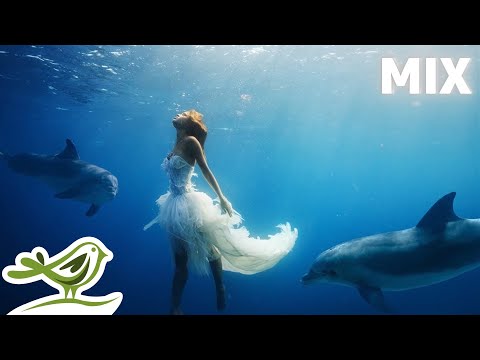 Видео: Peder B. Helland – Dance of Life (Полный Альбом)