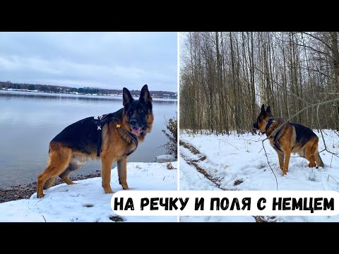 Видео: НА РЕЧКУ И В ПОЛЯ С НЕМЦЕМ [влог] - был снег, а потом куча луж