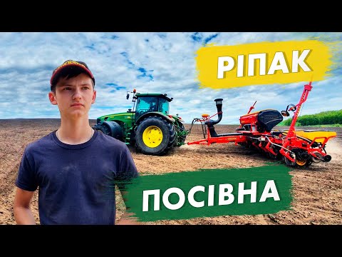 Видео: Посівна озимого ріпаку. Як ми сіємо сівалкою VADERSTAD на 35 см?