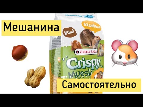 Видео: МЕШАНИНА ДЛЯ ХОМЯКА