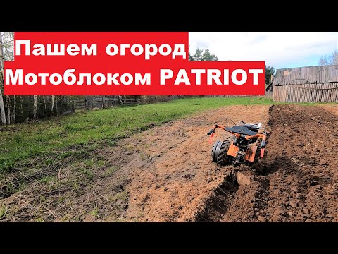 Видео: Вспашка огорода мотоблоком Patriot-Урал М. Пришли долгожданные ключи.