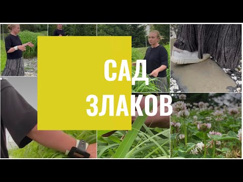 Видео: Лабиринт из мискантуса. Высокие злаки, шары из проволоки и хаотичная расстановка светильников #сад