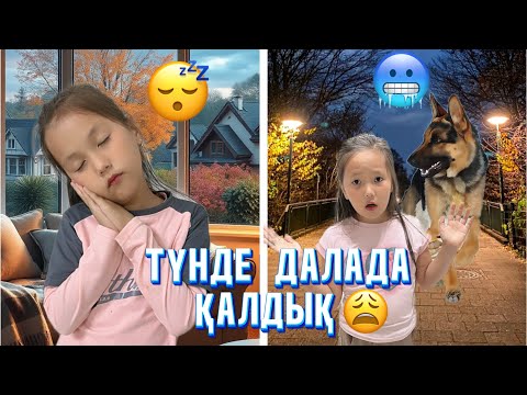 Видео: ТҮНДЕ ИТТЕРДЕН ҚАШТЫҚ😱#rek #challenge