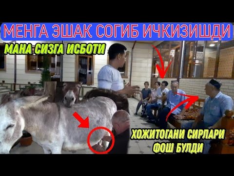 Видео: ЭШАК СУТИНИ ИЧКИЗИШИБ ЭВАЗИГА 5000$ ТАЛАБ КИЛИШДИ  2021 (Охунов тв)