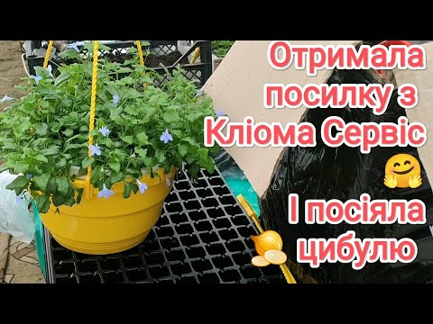 Видео: Посилка з "Кліома Сервіс" 🤗 Отримала і відразу посіяла насіння цибулі.