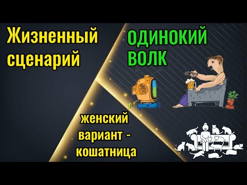 Видео: Сценарий жизни Одинокий волк (женский вариант - кошатница)