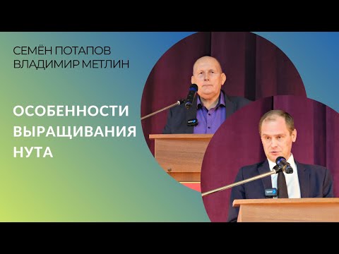 Видео: Особенности выращивания нута: сорта, нормы высева, ширина междурядий, обработки