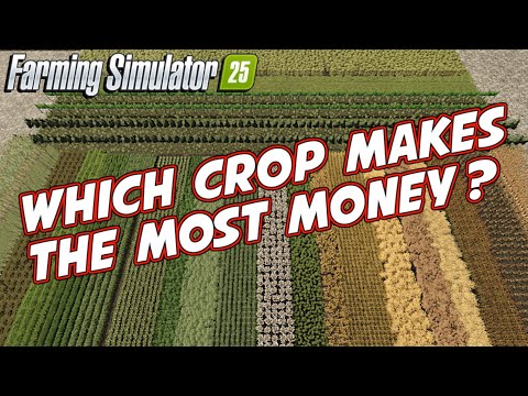 Видео: Самая прибыльная культура с акра для Farming Simulator 25