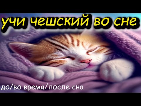 Видео: Учи чешский во сне