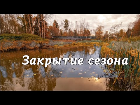 Видео: Осень! Время подводит итоги года ! Пруд 