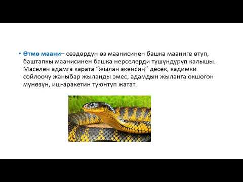 Видео: Бир маанилүү жана көп маанилүү сөздөр @_kyrgyz_tili_online_