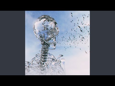 Видео: Кости