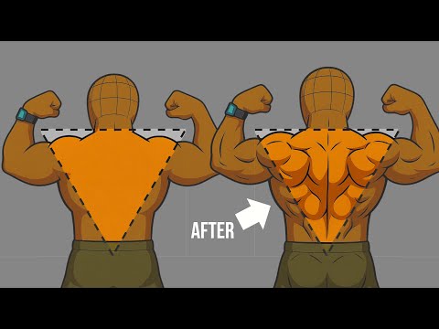 Видео: ЛУЧШИЕ ТРЕНИРОВКИ ДЛЯ БОЛЬШЕЙ СПИНЫ