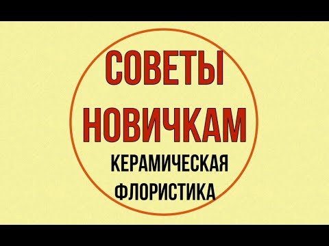 Видео: СОВЕТЫ НОВИЧКАМ (КЕРАМИЧЕСКАЯ ФЛОРИСТИКА)tips for beginners