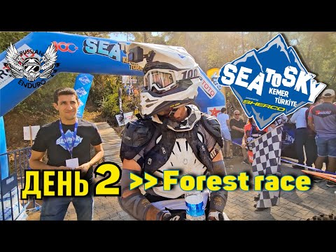 Видео: Sea To Sky 2023 – Forest day (2 день)