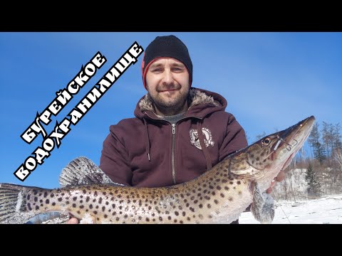 Видео: Рыбалка в  начале марта. Бурейское водохранилище.