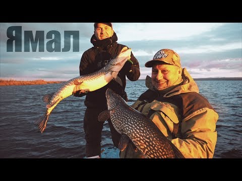 Видео: ЯМАЛ. РЫБАЛКА НА СЕВЕРЕ. ДИКОЕ И ТРУДНОДОСТУПНОЕ ОЗЕРО. ЧАСТЬ 1