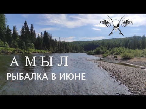 Видео: Рыбалка в июне на Амыле