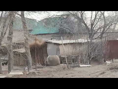 Видео: Тахтакопир.Аббаз Дабылов мектеп орны.Ворошилов Пахташы көшелері.