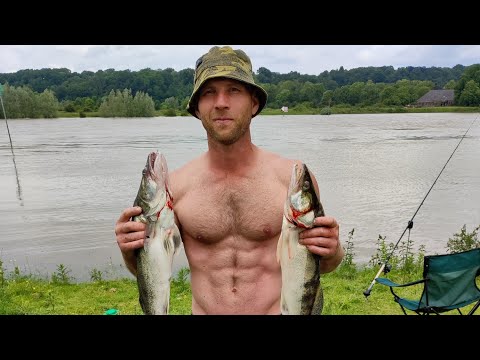 Видео: Активный клёв Леща .. Июнь  2024