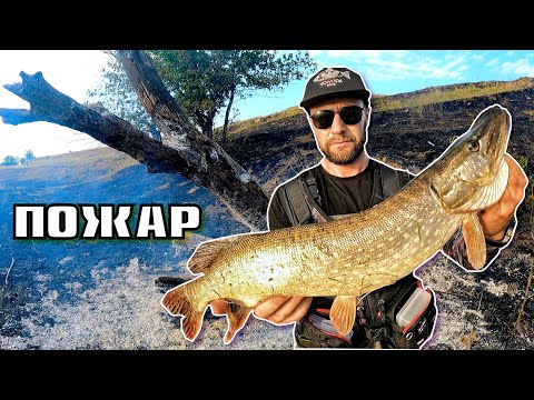 Видео: ПОЖАР ! ЩУКИ и КЕФАЛИ по МАРИЦА GIVEAWAY - МАКАРА 🎁
