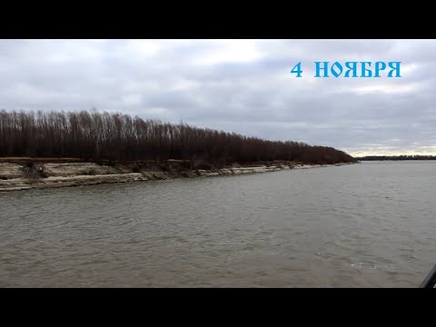 Видео: 4 ноя. На муромской дорожке.