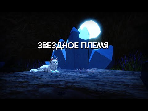 Видео: Что такое ЗВЕЗДНОЕ ПЛЕМЯ?