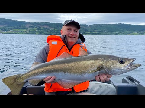 Видео: Дуплетами! 🐟🐟 РЫБЫ КИШИТ!!! Рыбалка с лодки в Норвегии 2024