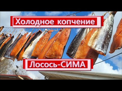 Видео: Холодное копчение симы (рецепт подходит для любого лосося) Пошаговый рецепт. Получится у всех