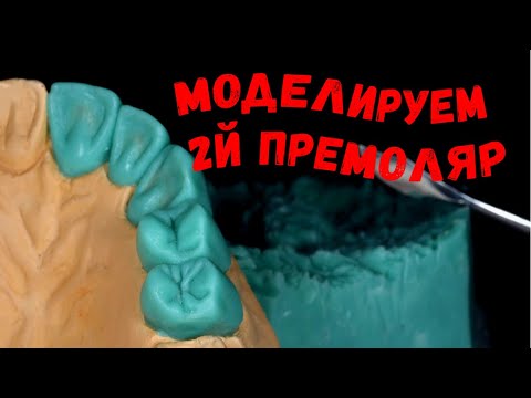 Видео: Как моделировать зубы? Моделировка премоляра верхней челюсти. Зубной техник. Изготовление зубов.