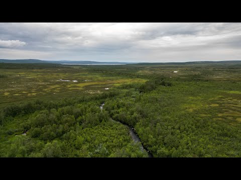 Видео: КОЛЬСКИЙ - КУМЖАТУР ‘23 🎣  часть  l "НАЧАЛО"