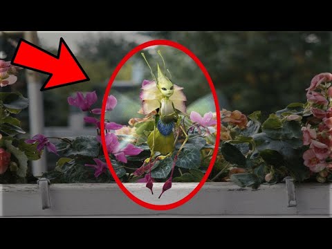 Видео: ТАКОЕ Редко Увидишь! Эти ВИДЕО Повезло Снять на Камеру