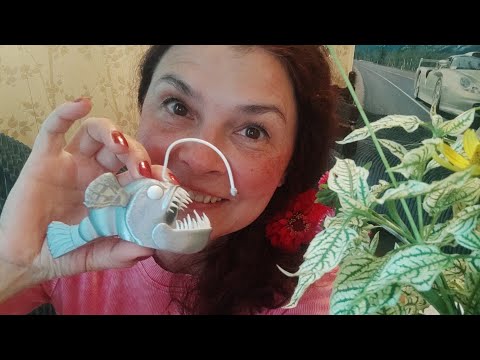 Видео: АСМР 🩷 3d игрушки много премного 🩵