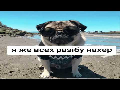 Видео: они хотят убрать меня, но попытка неудачная !