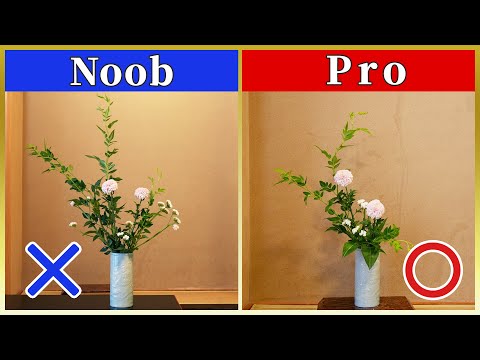 Видео: Советы по икебане | Можете ли вы определить, что не так? Советы Nageire для начинающих