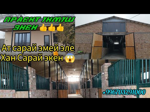 Видео: Сапатка басым жасаптыр/ Укмуш ат сарай баардык шарты менен 👍 Тел+996703291000.